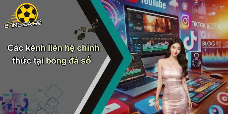 Liên Hệ