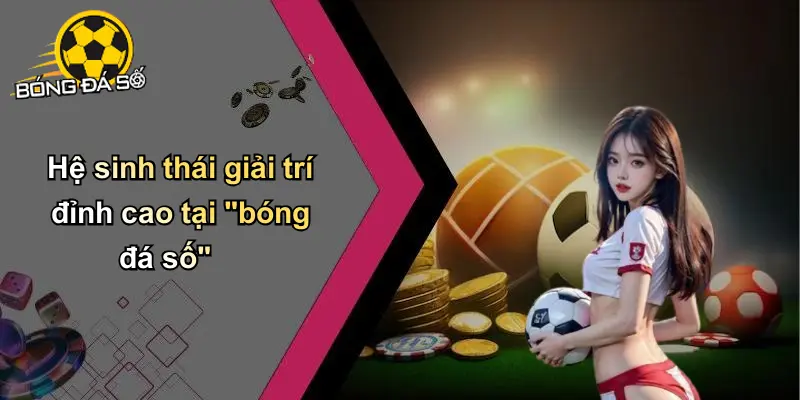 Về Chúng Tôi