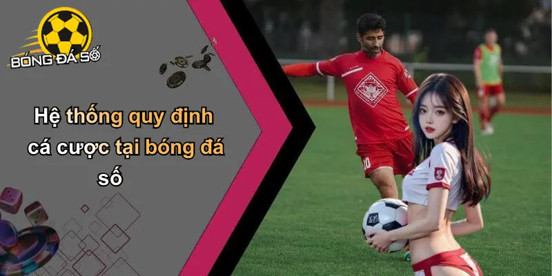 Điều Khoản Điều Kiện