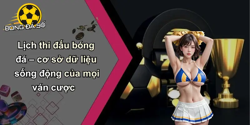 Lịch Thi Đấu