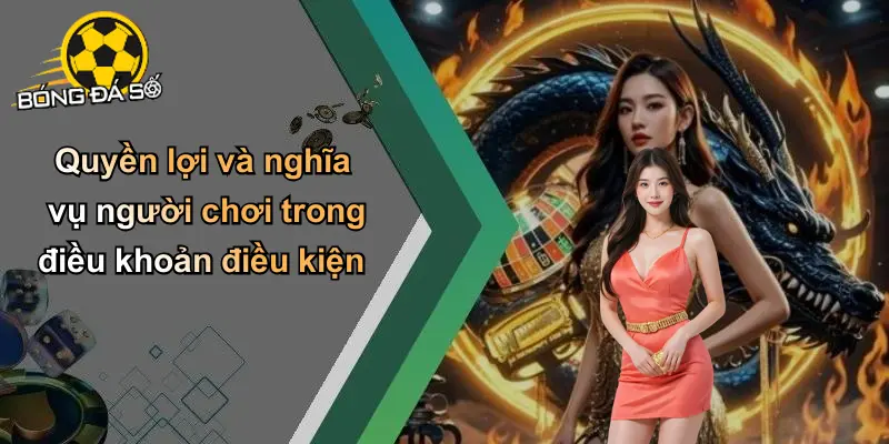 Điều Khoản Điều Kiện