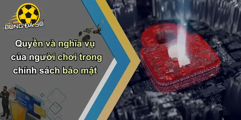 Chính sách bảo mật