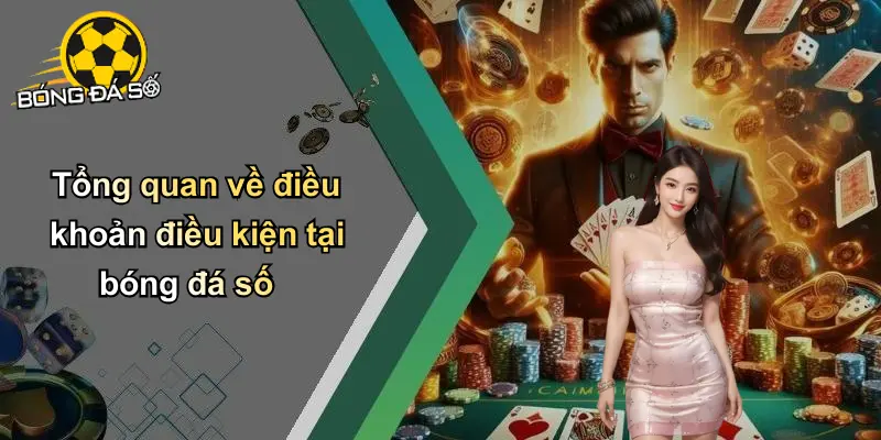 Điều Khoản Điều Kiện
