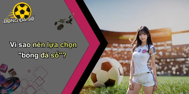 Về Chúng Tôi