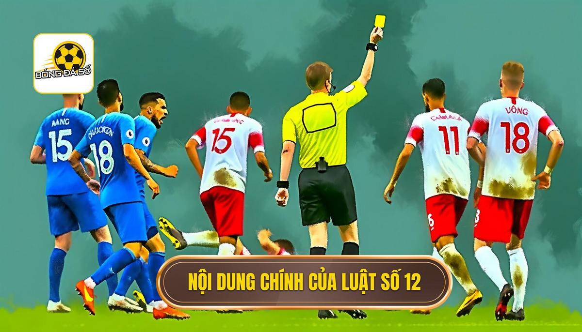Nội dung chính của Luật 12