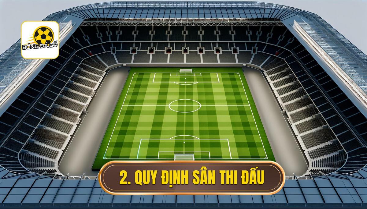 Quy định về sân thi đấu