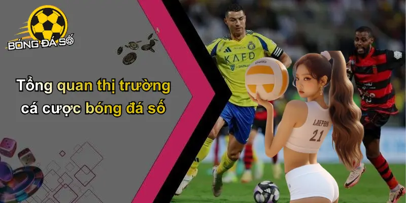 Bóng Đá Số
