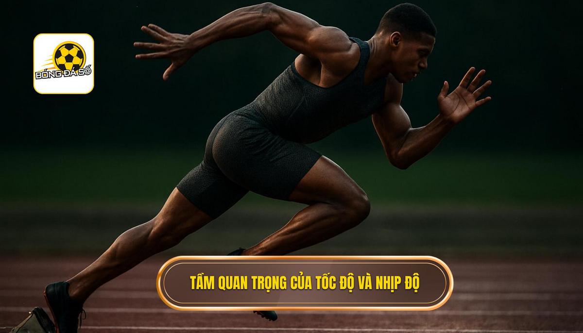 Tầm Quan Trọng Của Tốc Độ và Nhịp Độ