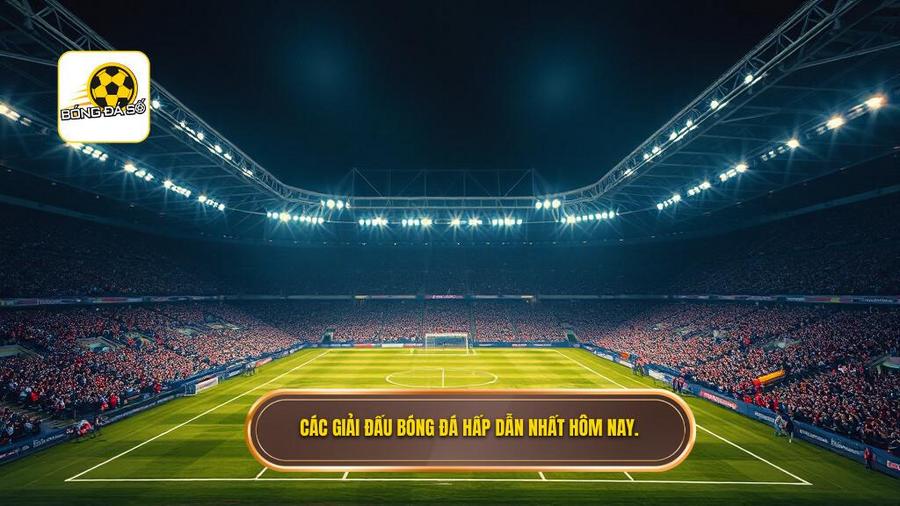 2. Các giải đấu bóng đá hấp dẫn nhất hôm nay.