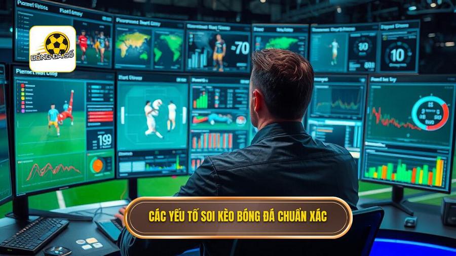 2. Các yếu tố soi kèo bóng đá chuẩn xác