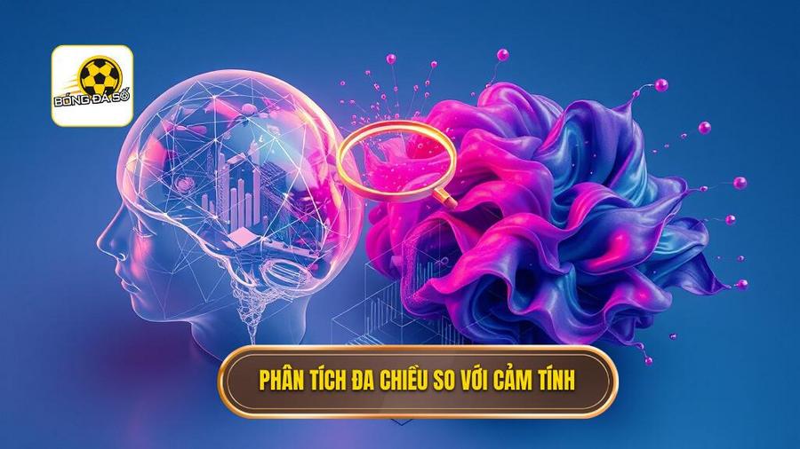 3. Phân tích đa chiều so với cảm tính