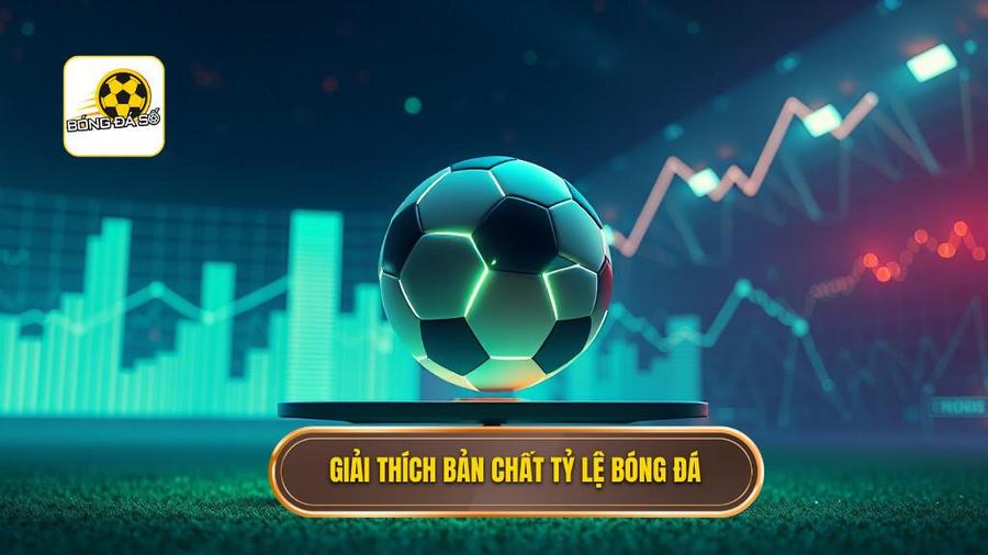 Hiểu đúng về bản chất của tỷ lệ bóng đá