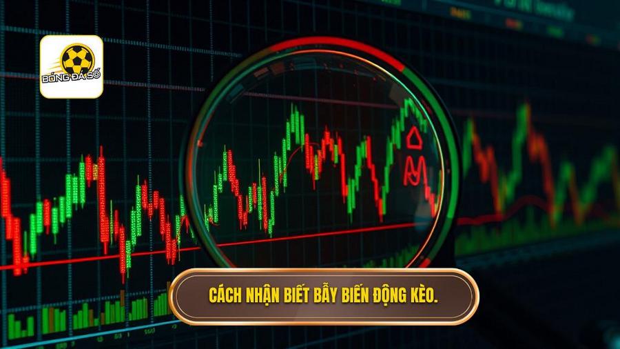 Lật tẩy chiêu trò giấu trong tỷ lệ qua biến động kèo (Odds Movement)