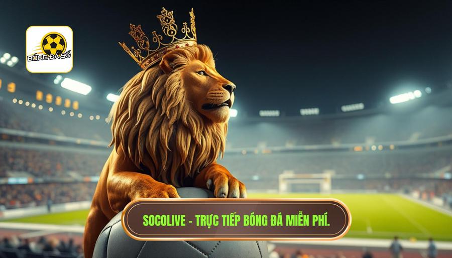 Socolive - "Ông vua" trong làng trực tiếp bóng đá miễn phí