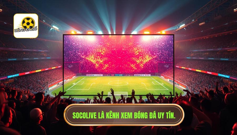 Socolive là gì và tại sao lại thu hút người xem?