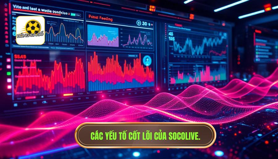 Socolive đang hot vì điều gì? Phân tích các yếu tố cốt lõi