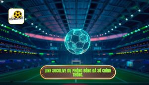 Link Socolive Dự Phòng Hôm Nay Mới Nhất - Xem Bóng Đá Không Chặn
