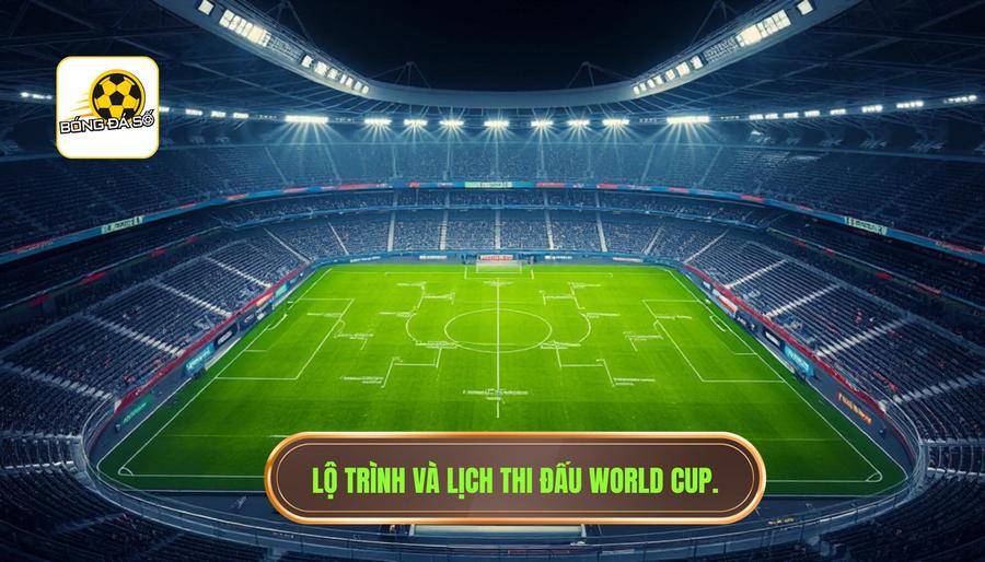 Lộ trình và lịch thi đấu World Cup