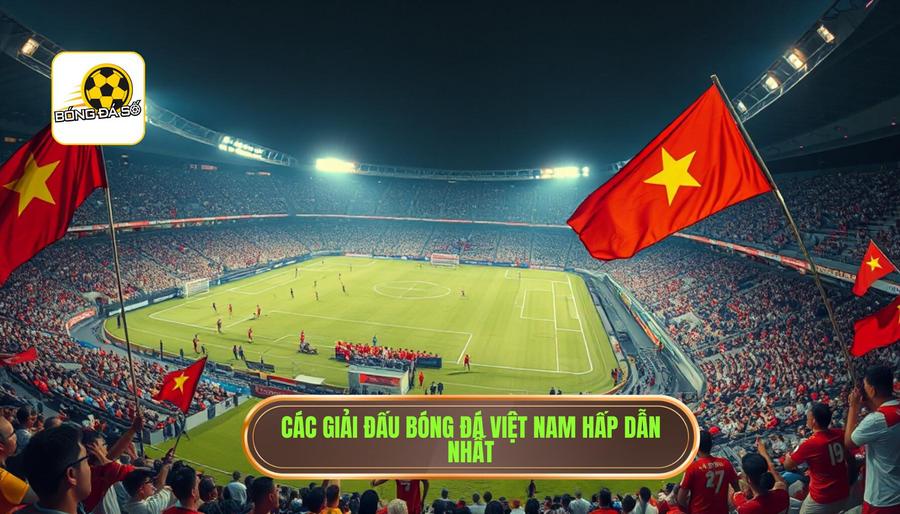 Các giải đấu bóng đá Việt Nam hấp dẫn nhất