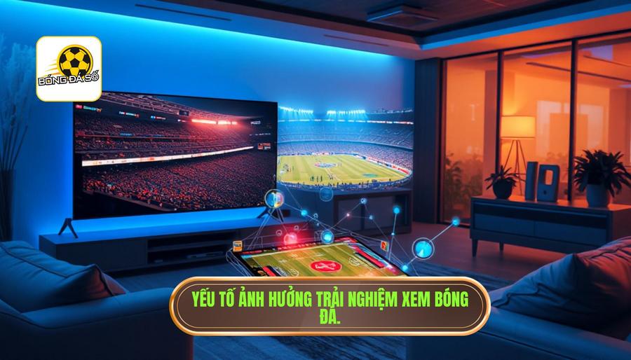 Yếu tố ảnh hưởng trải nghiệm xem bóng đá