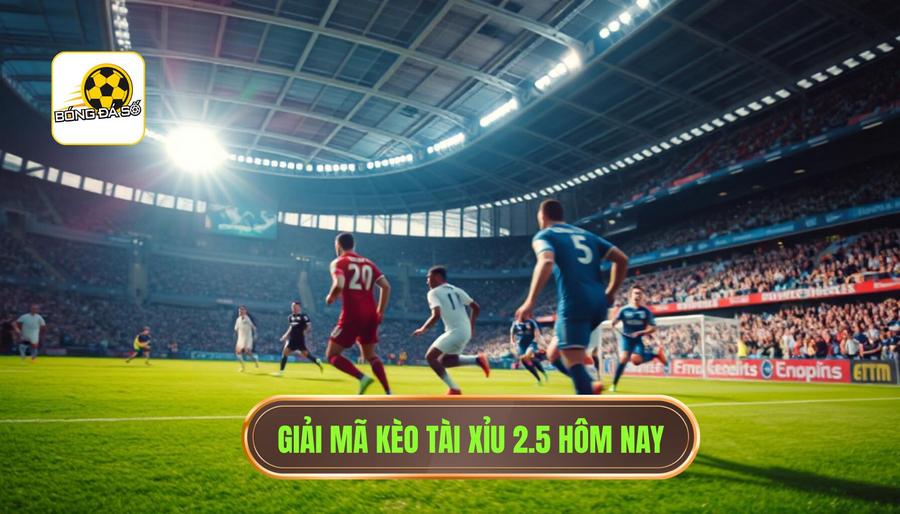 Giải mã kèo tài xỉu 2.5 hôm nay