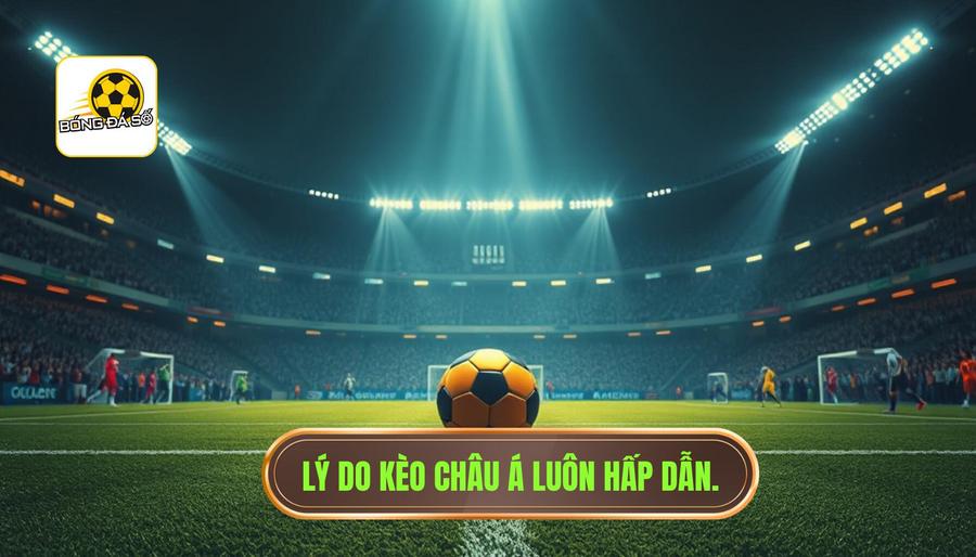 Lý do kèo châu Á luôn hấp dẫn