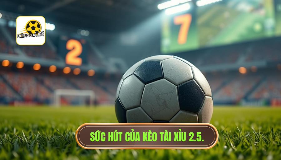  Sức hút của kèo tài xỉu 2.5