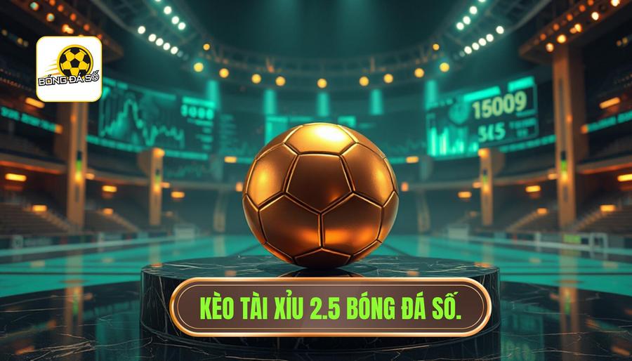 Kèo tài xỉu 2.5 hôm nay: Kinh nghiệm soi kèo từ chuyên gia BÓNG ĐÁ SỐ